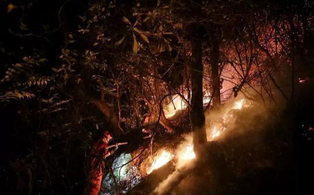 四川凉山森林火灾中的“爆燃”是什么?