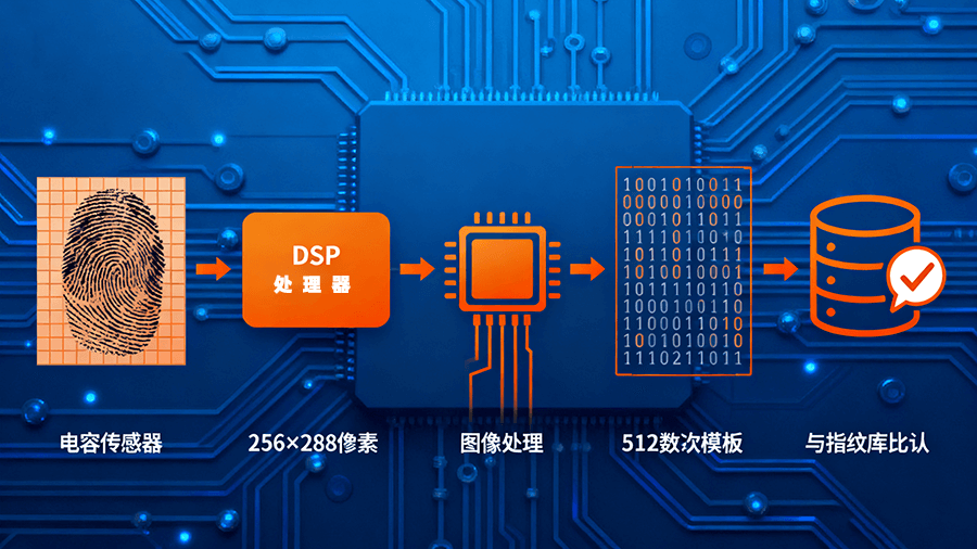 BA-ZW0C核心性能参数图表 BA-ZW0C指纹识别模块功能参数示意图